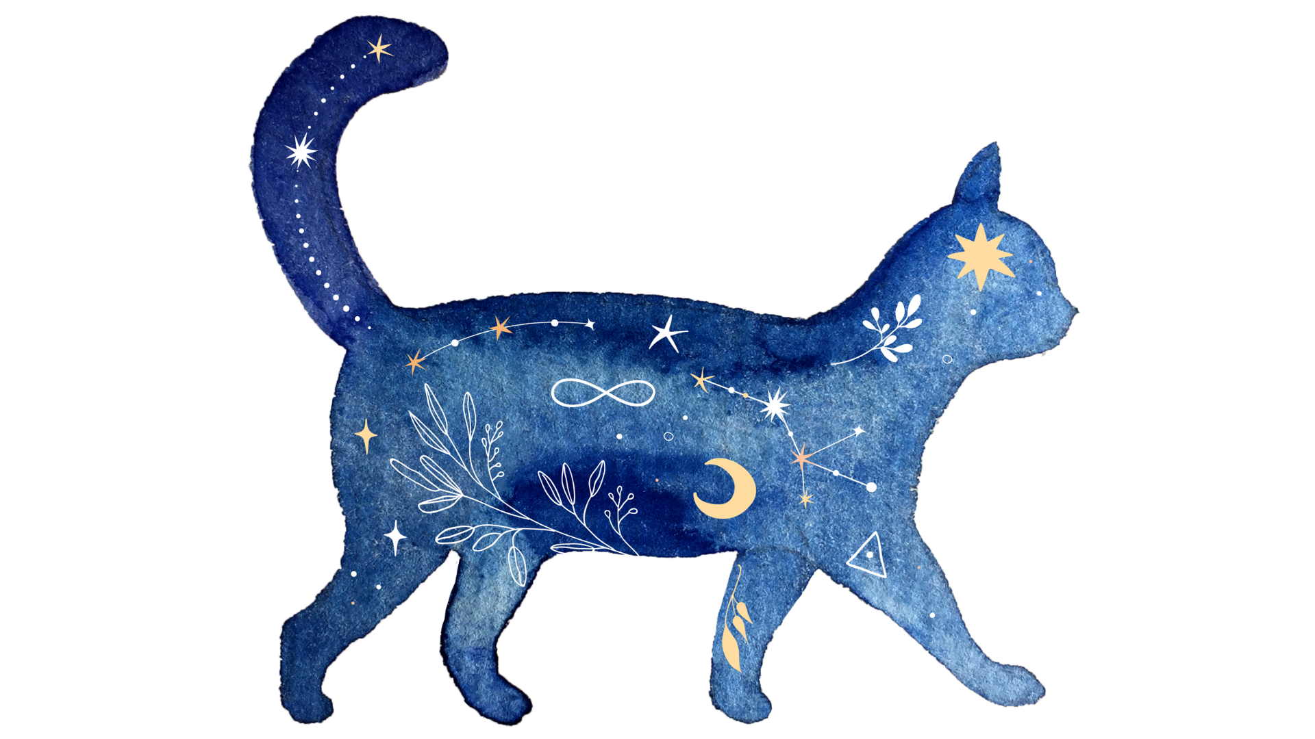 My Cats